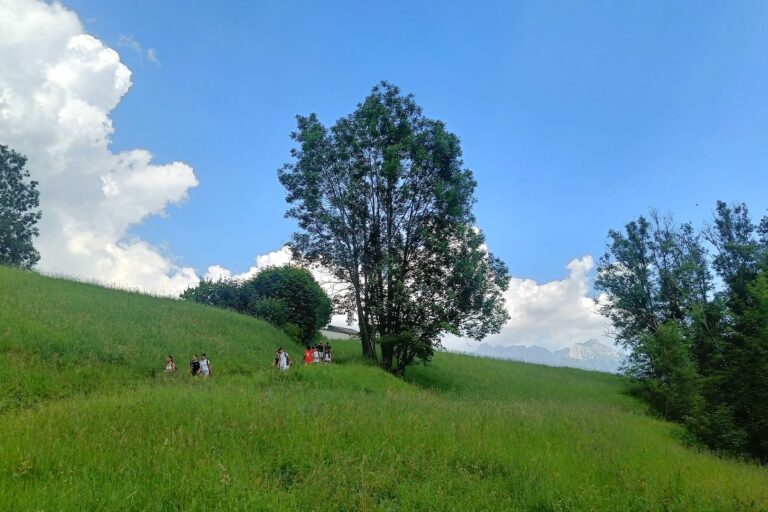 Mezzoldo: Campo Estivo PreAdo 2025
